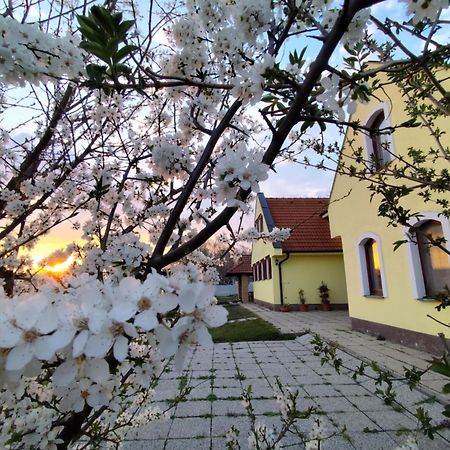 Idylicky Rodinny Penzion Arkadia Pri Dunajskej Cyklotrase Kyselica Zewnętrze zdjęcie